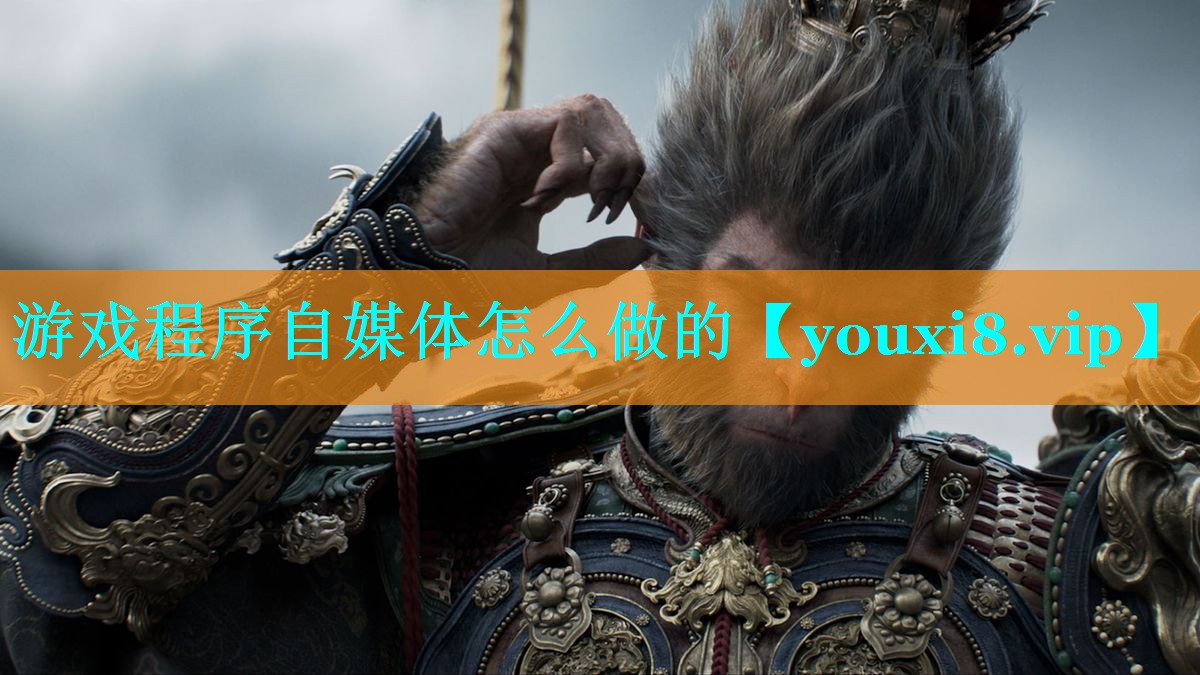 游戏程序自媒体怎么做的