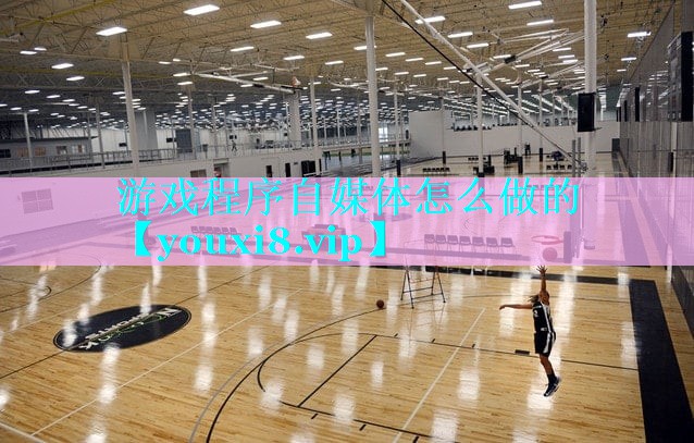 游戏程序自媒体怎么做的