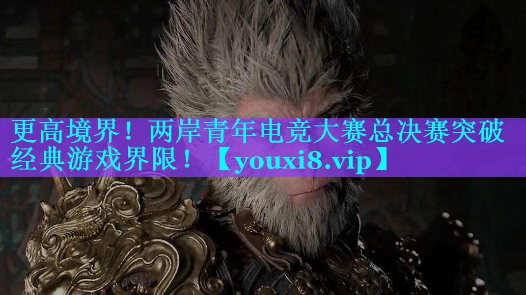 更高境界！两岸青年电竞大赛总决赛突破经典游戏界限！