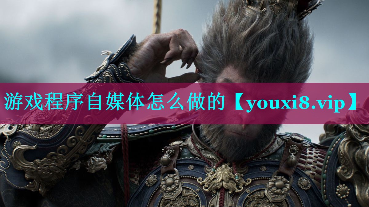 游戏程序自媒体怎么做的