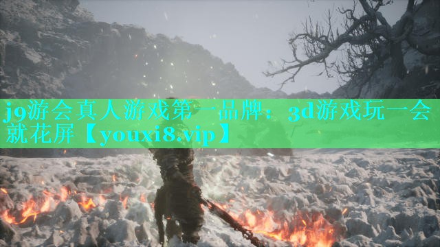 3d游戏玩一会就花屏